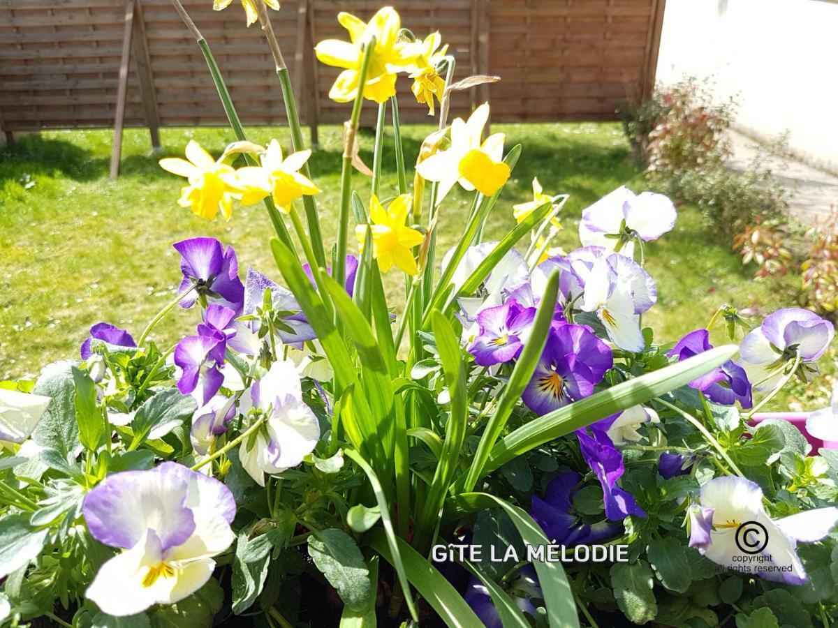 Gite La Melodie Longueville  Εξωτερικό φωτογραφία
