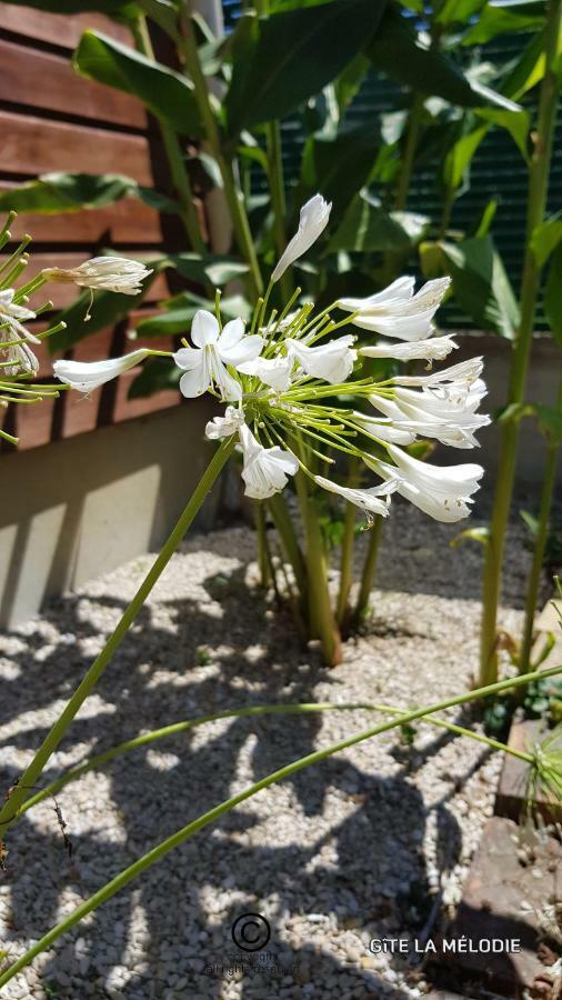Gite La Melodie Longueville  Εξωτερικό φωτογραφία
